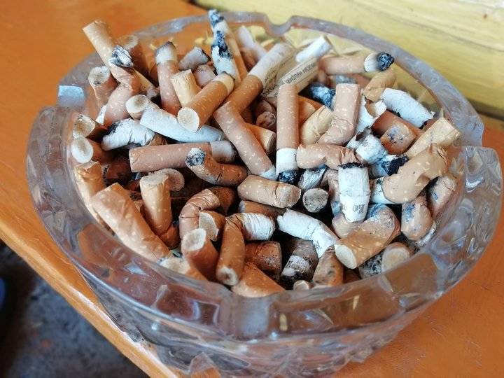 Из-за опасного насекомого в Башкирию запретили ввоз табачного сырья из ряда стран