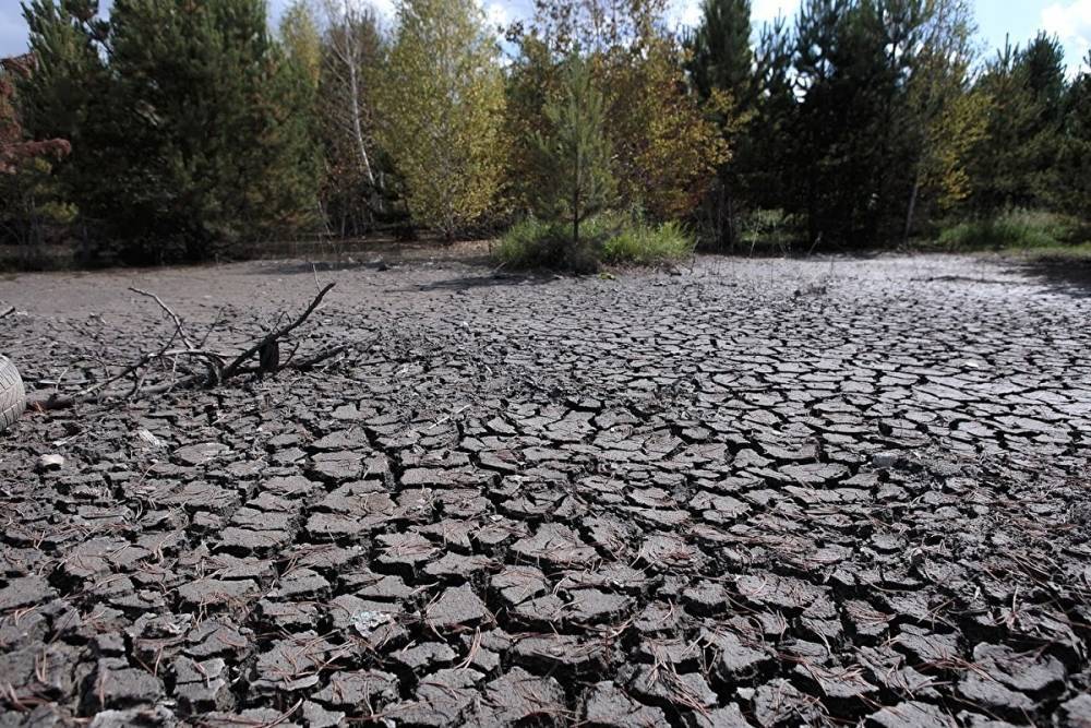 Росгидромет назвал три региона Урала, где из-за засухи будут проблемы с урожаем