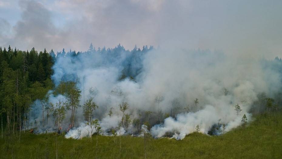 Петрозаводск страдает от смога и гари из-за лесных пожаров