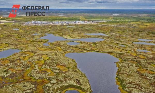 До конца года два месторождения на Ямале выставят на торги