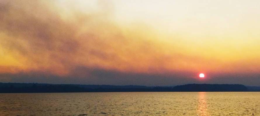 В Карелии снизилось число лесных пожаров