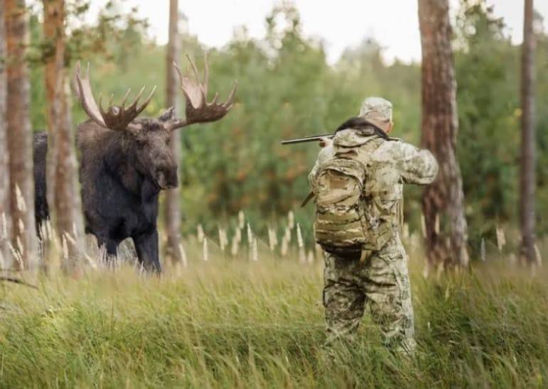 В Смоленской области утверждены объемы добычи охотников на год