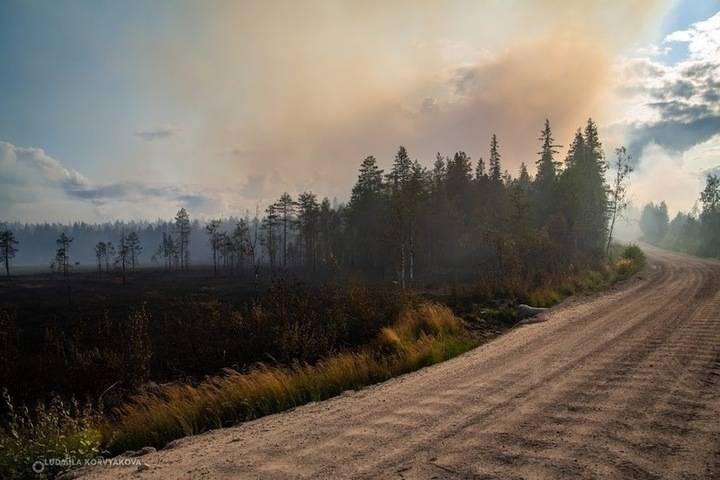 Заксобрание Карелии проведёт экстренное совещание, посвящённое лесным пожарам