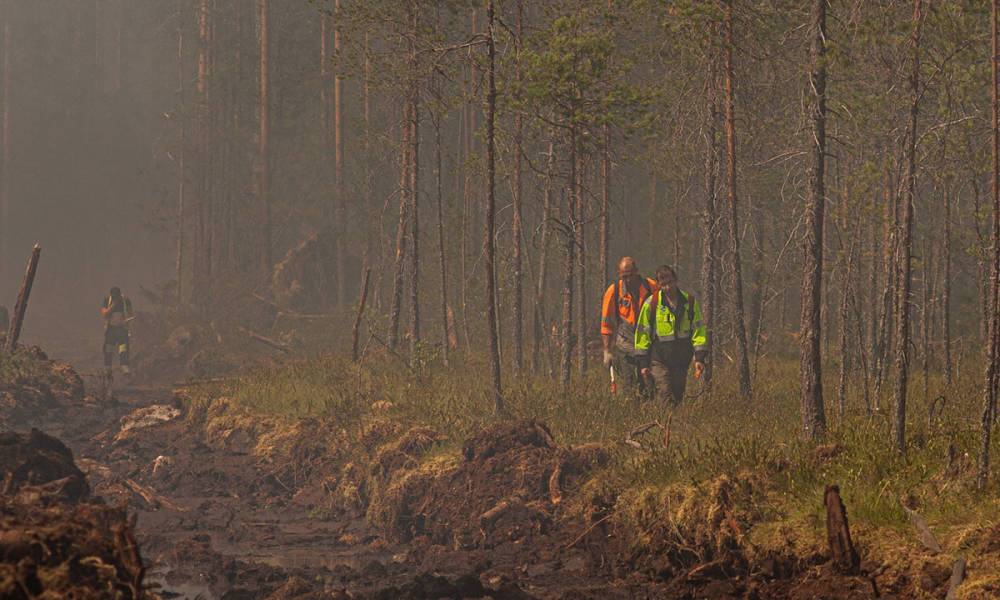 21 лесной пожар действует в Карелии: актуальная сводка от МЧС