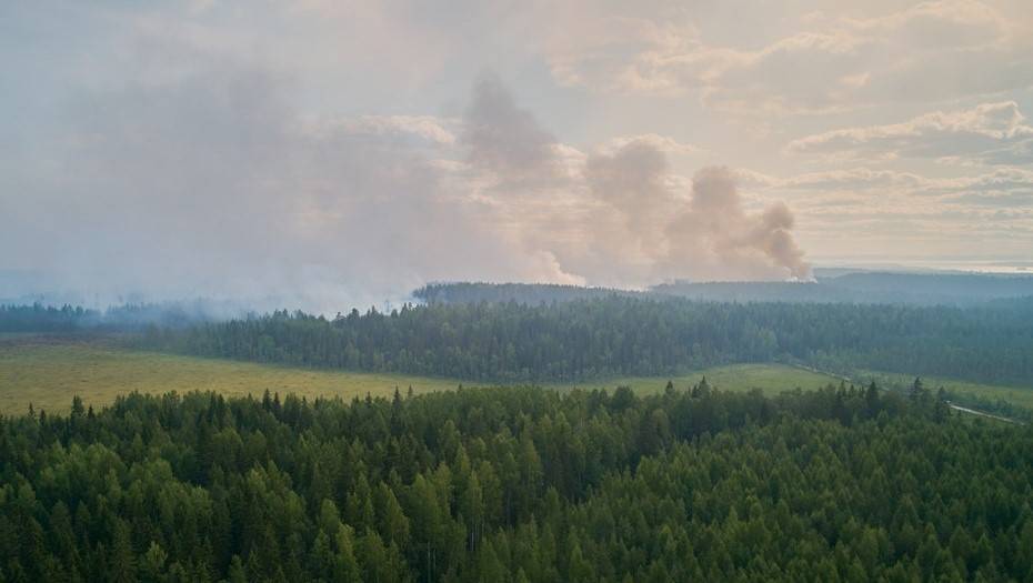 Экстренный созыв парламента Карелии объявлен из-за лесных пожаров
