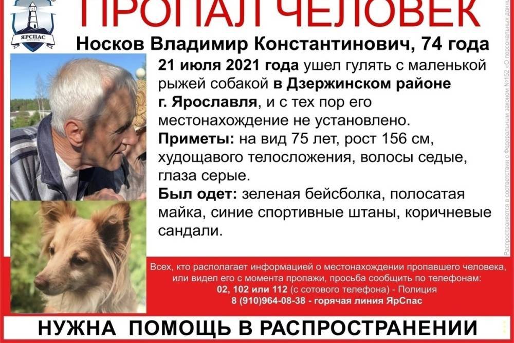 В Ярославле пропал дедушка с собакой