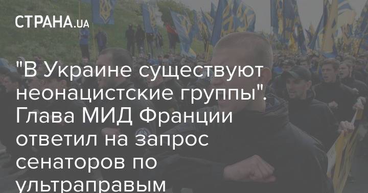 "В Украине существуют неонацистские группы". Глава МИД Франции ответил на запрос сенаторов по ультраправым