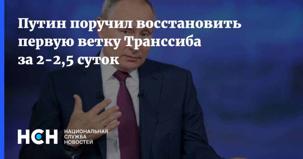 Путин поручил восстановить первую ветку Транссиба за 2-2,5 суток