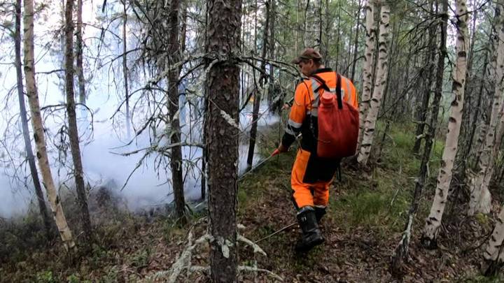 Борьбу с лесными пожарами в Выборгском районе ведут военнослужащие