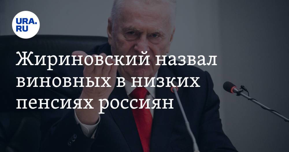 Жириновский назвал виновных в низких пенсиях россиян