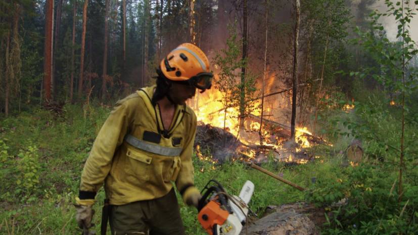 В России за сутки ликвидировали 59 лесных пожаров