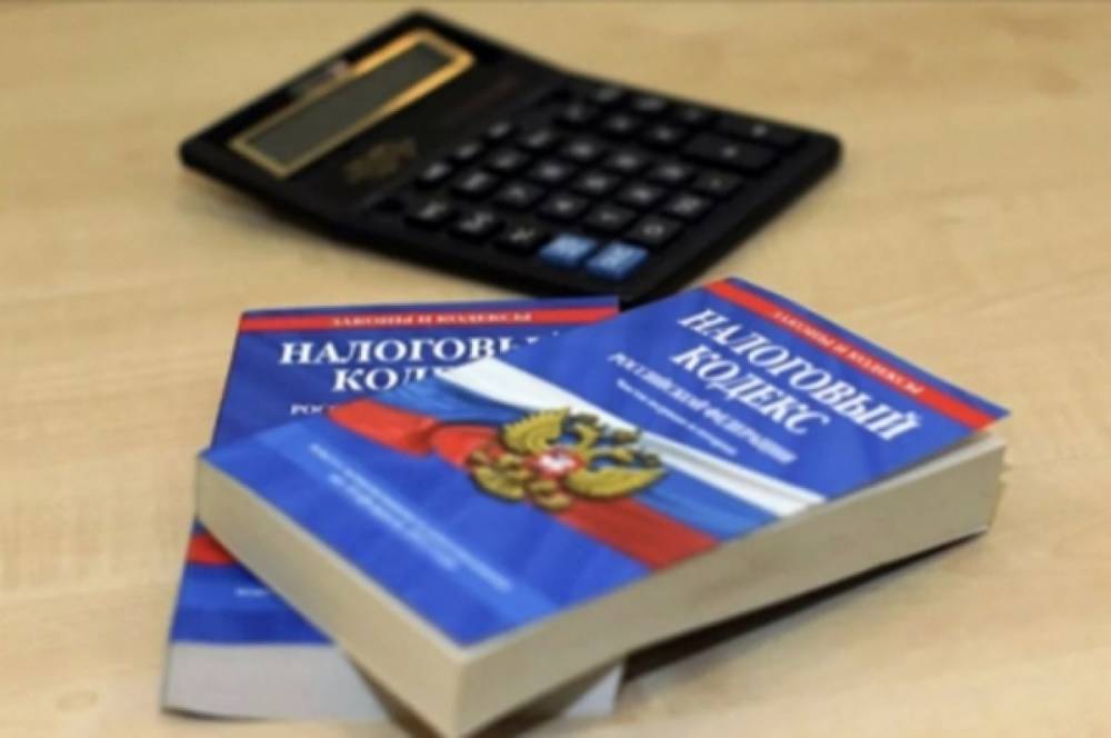 Житель Хабаровского края скрыл от налоговой 9 млн рублей