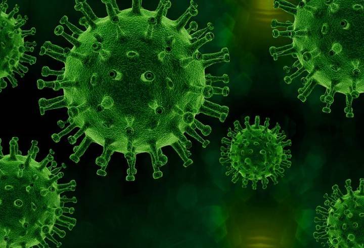 Эпидемиолог оценил риск распространения "бразильского" штамма коронавируса в России