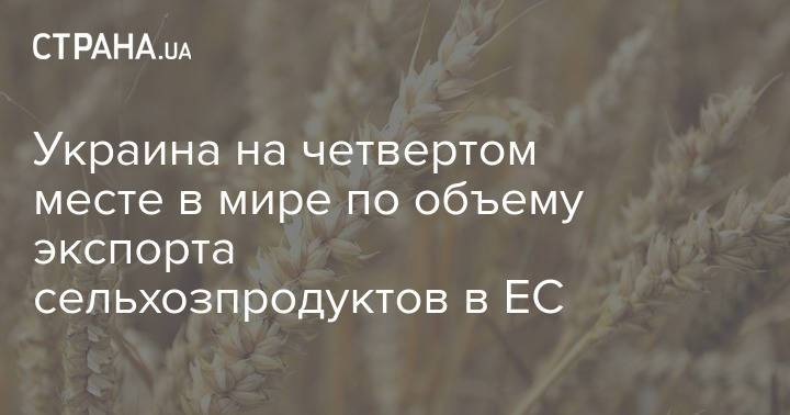 Украина на четвертом месте в мире по объему экспорта сельхозпродуктов в ЕС