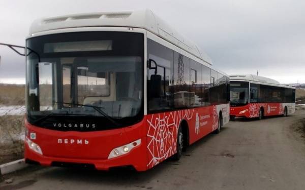 Пермь названа лидером публичной повестки развития общественного транспорта России