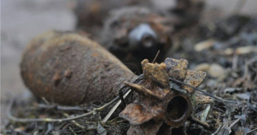 В лесу под Балтийском за сутки нашли 10 снарядов времён Великой Отечественной войны