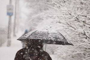 Народный синоптик дал подробный прогноз погоды на предстоящую зиму