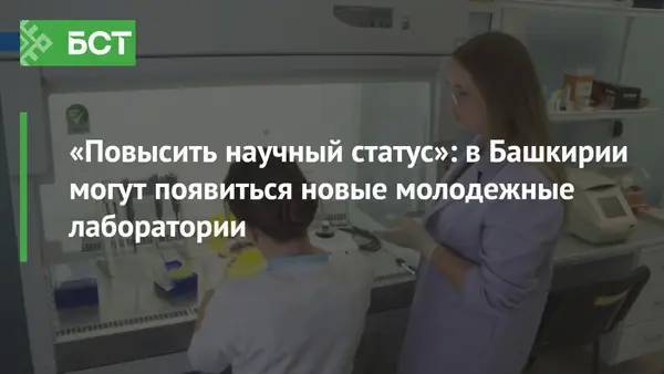 «Повысить научный статус»: в Башкирии могут появиться новые молодежные лаборатории