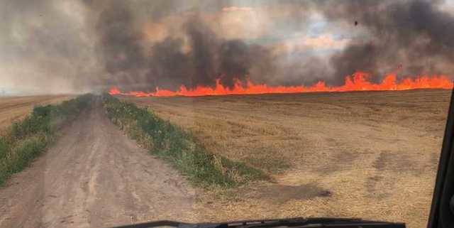 На Днепропетровщине вспыхнул огромный пожар на пшеничных полях