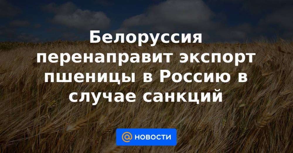 Белоруссия перенаправит экспорт пшеницы в Россию в случае санкций
