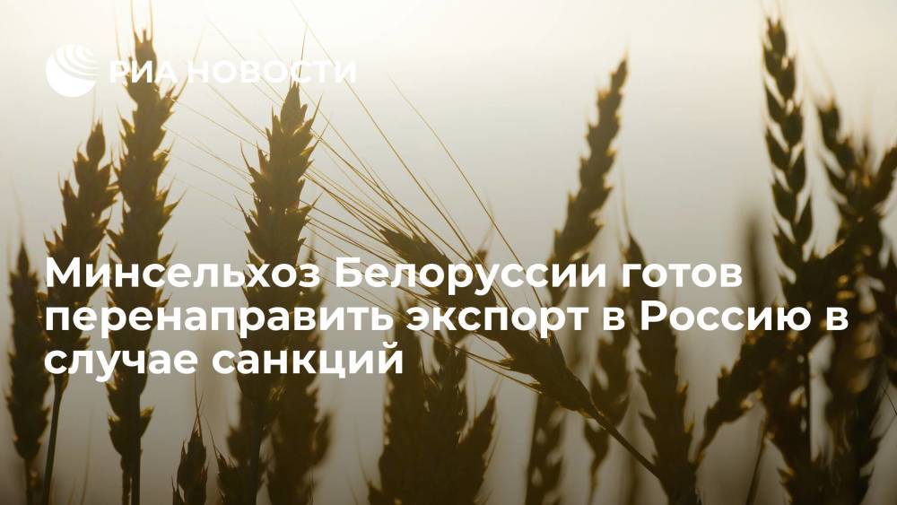 Минсельхоз Белоруссии готов перенаправить экспорт в Россию в случае усиления санкций Евросоюза