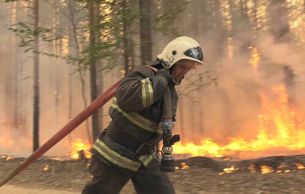 В России за сутки потушили более 100 тыс. га лесных пожаров