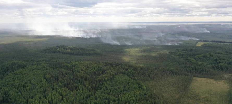 Добровольцев, защищающих Карелию от лесных пожаров, просят продержаться до понедельника