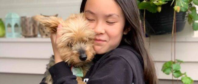В Торонто йоркширский терьер смог спасти 10-летнюю хозяйку от нападения койота