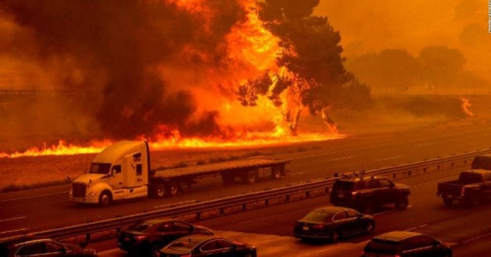В США леса охвачены огнем: пожары на пике, режим ЧС введен в 5 штатах (ВИДЕО)