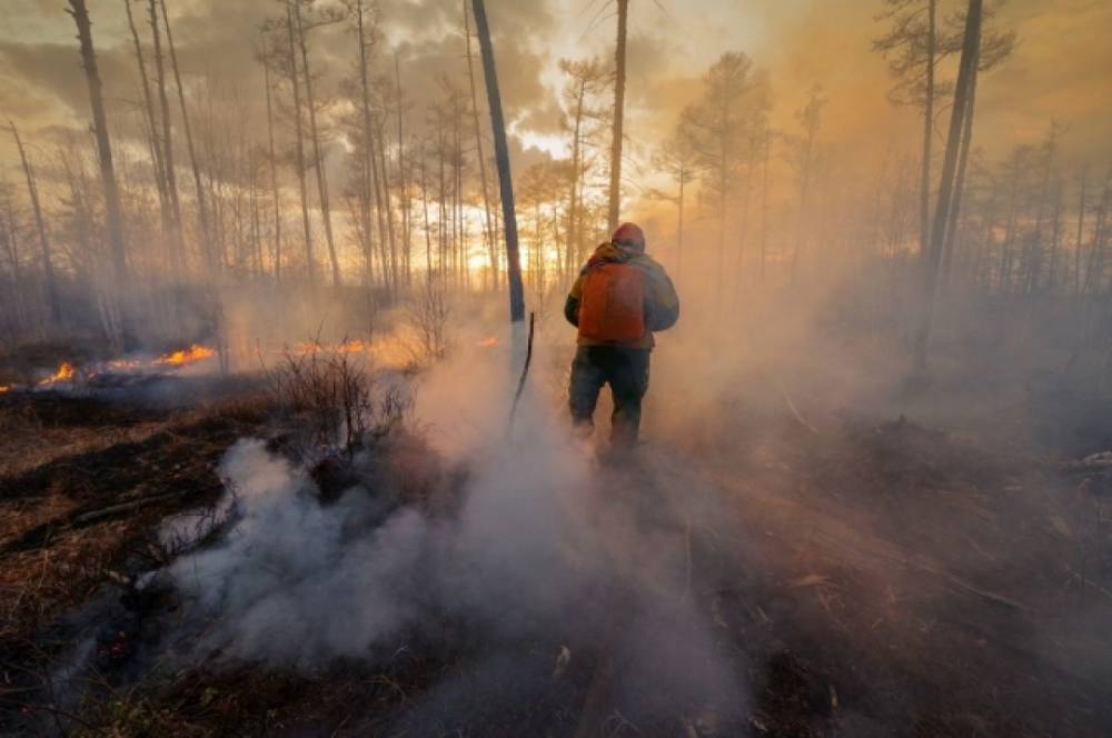 В США заявили о росте природных пожаров из-за изменения климата
