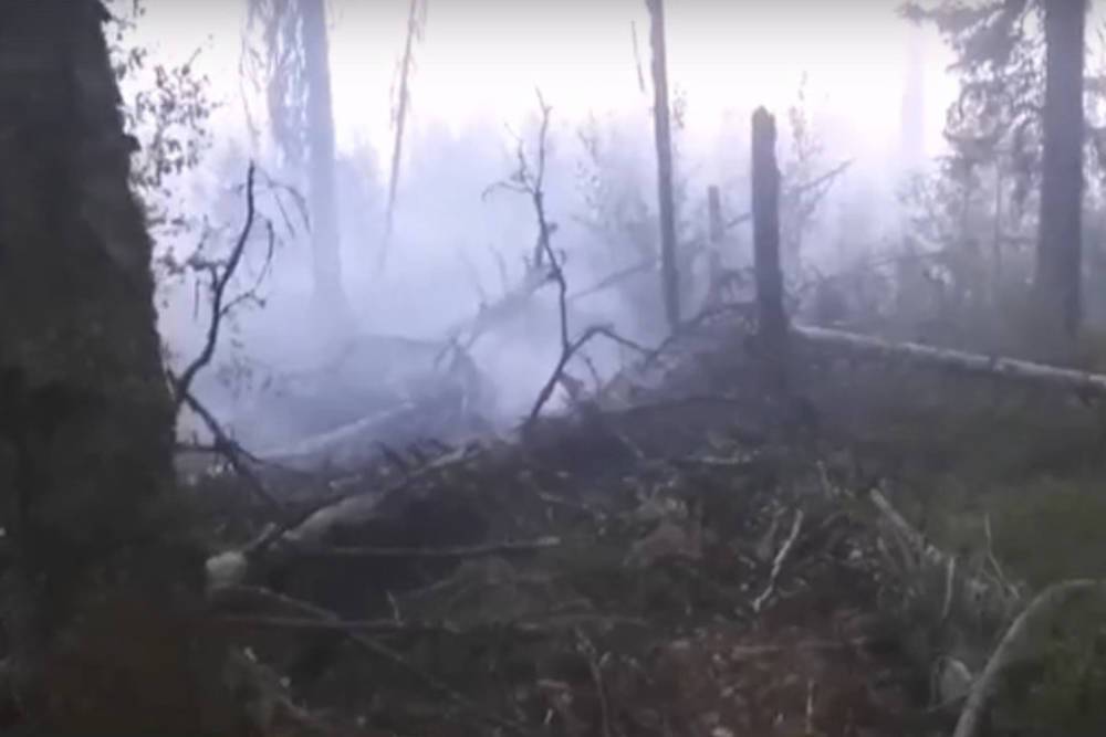 Лес у деревни Большие Горы мог загореться из-за брошенного окурка