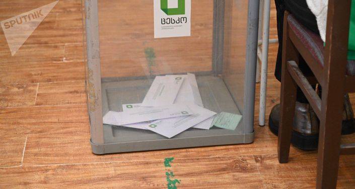 Были ли выборы в Грузии сфальсифицированы? Комиссия представит заключение