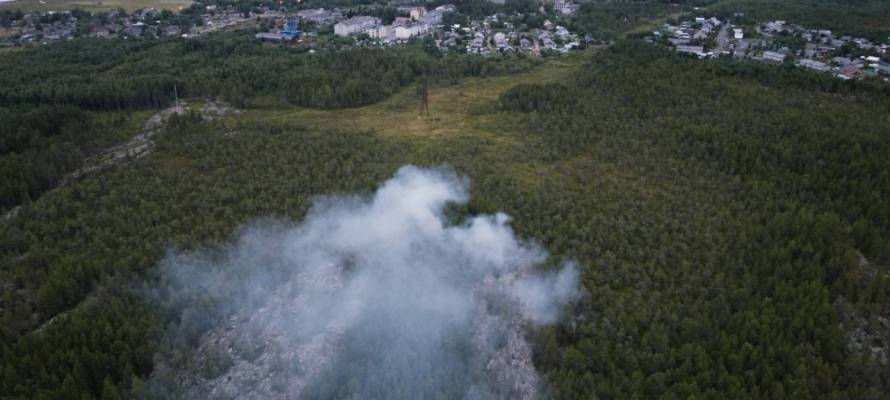 Глава администрации района Карелии рассказал о пожаре на «морошечной» тропе