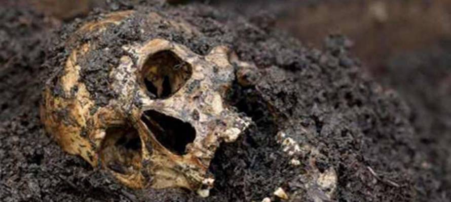 Три черепа обнаружены на стройплощадке в районе Карелии