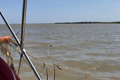 Более 20 километров береговой линии озера Ханка очистили от мусора