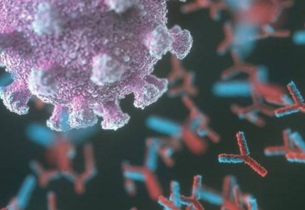 Ученые назвали срок сохранения антител к коронавирусу