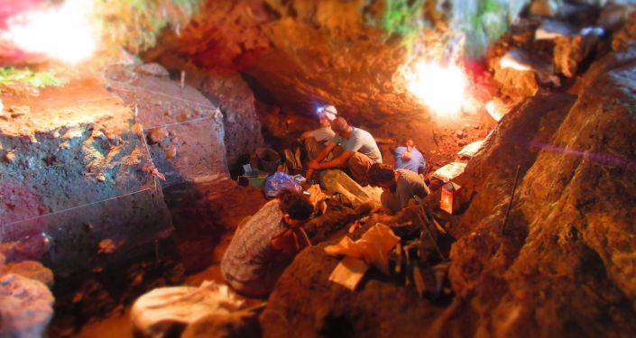 ДНК человека, волка и бизона нашли в почве пещеры Сацурблиа