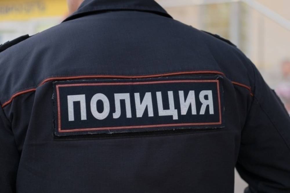 В Москве полиция задержала кандидата в депутаты Госдумы Кирилла Гончарова