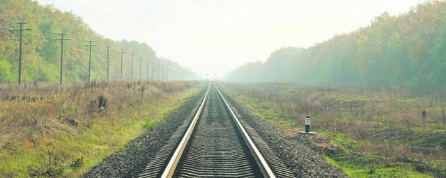 На железной дороге в Новосибирской области смертельные травмы получили двое мужчин