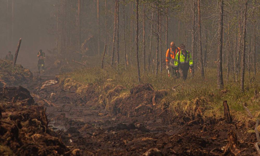 В Финляндии тушат лесной пожар на площади в 200 гектаров