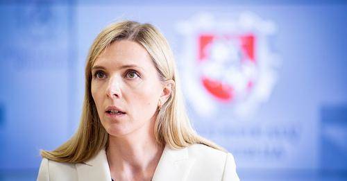 Глава МВД Литвы предлагает ввести чрезвычайное положение на границе