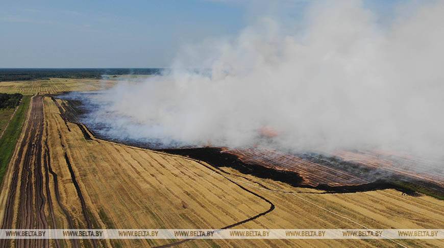 Более 130 человек тушат торфяной пожар в Петриковском районе