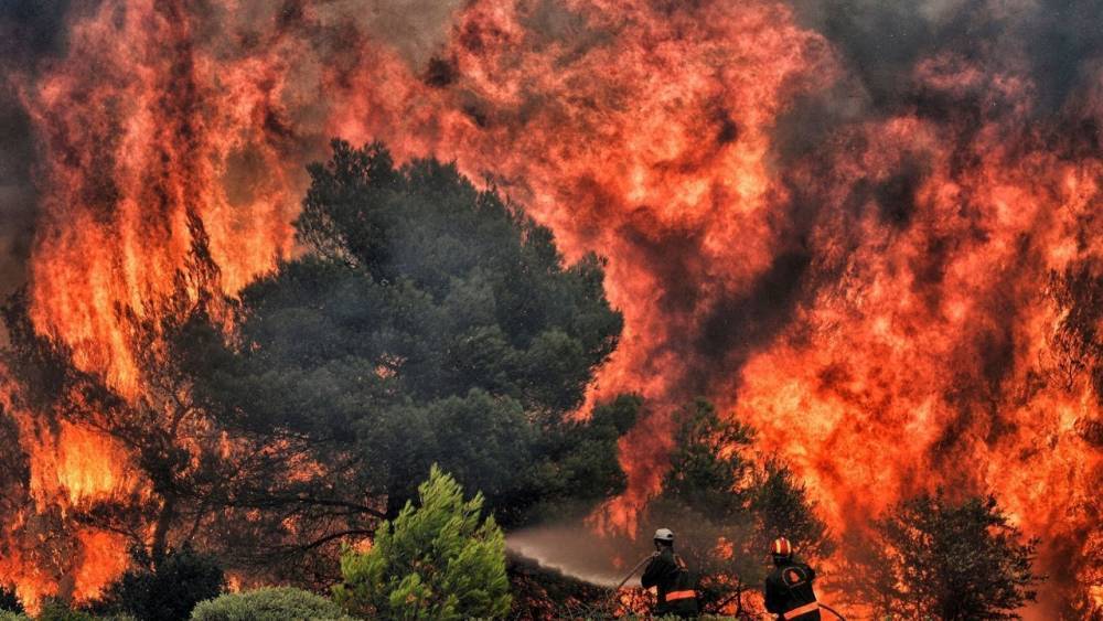 В Греции горят леса, огонь подбирается к Афинам