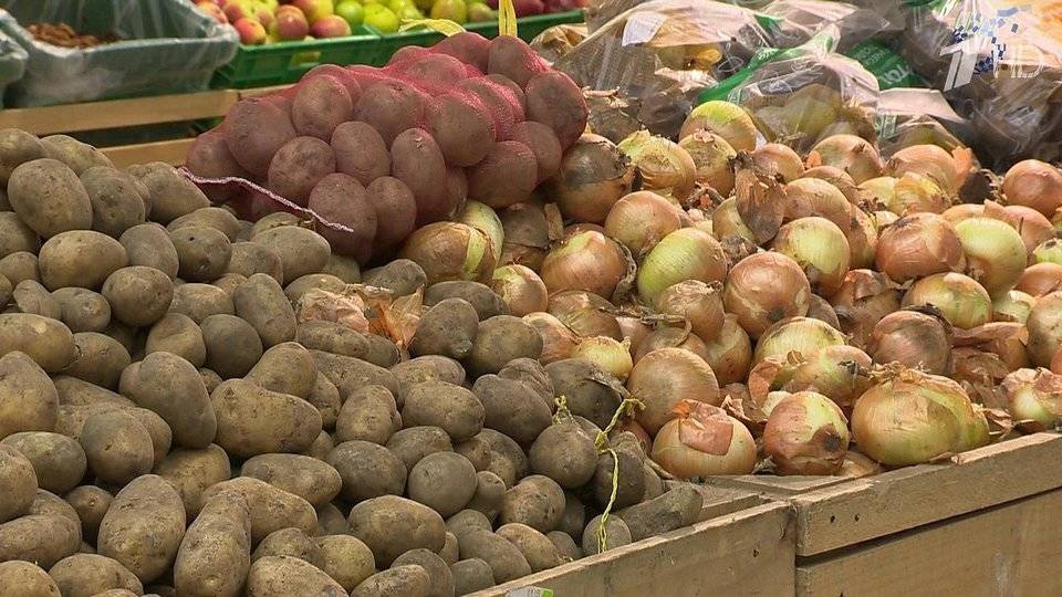 В России отмечается снижение стоимости сезонных овощей