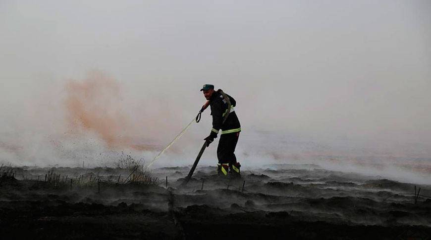 Площадь торфяного пожара в Петриковском районе сократили до 70 га