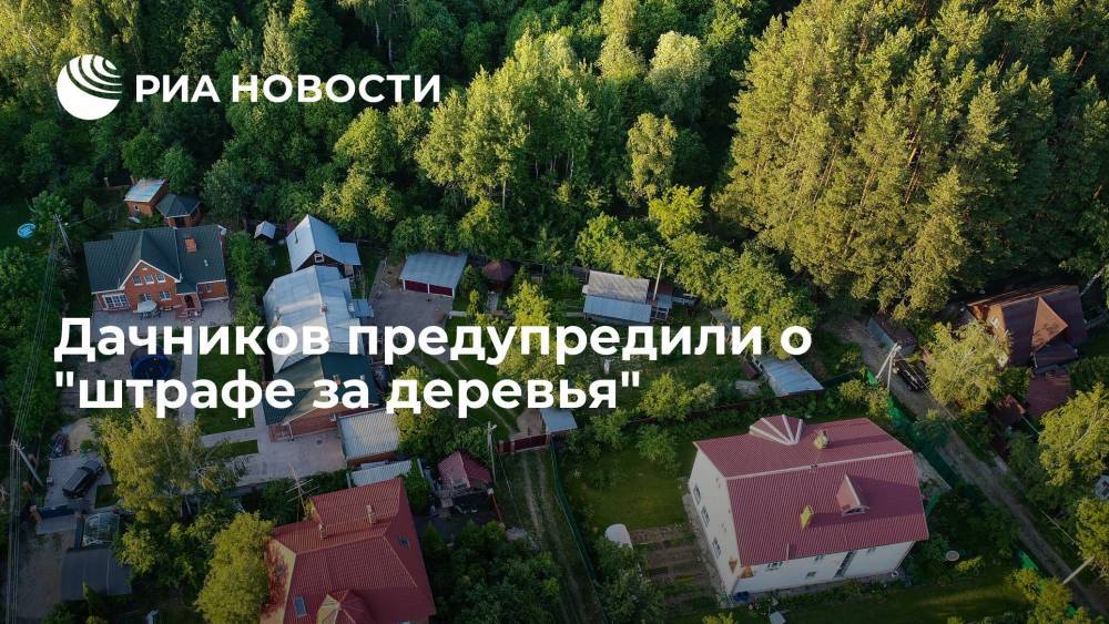 Глава Urvista Петропольский предупредил российских дачников о "штрафе за деревья"