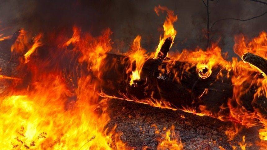 Надежда на авиацию: лесные пожары взяли в огненное кольцо жилые кварталы в Якутии