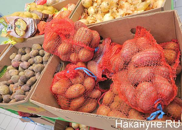 "Больная тема": в Свердловском УФАС объяснили рост цен на овощи