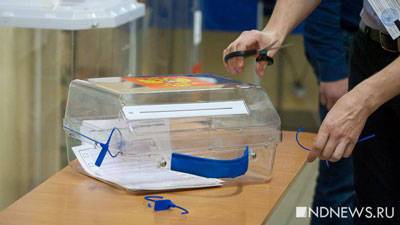 Эксперты рассказали о мотивах небольших партий на выборах в ЗакС Петербурга