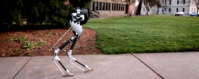 Двуногий робот Cassie вошел в историю, преодолев 5 километров почти за 53 минуты